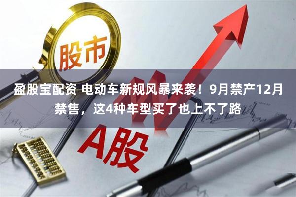 盈股宝配资 电动车新规风暴来袭！9月禁产12月禁售，这4种车型买了也上不了路