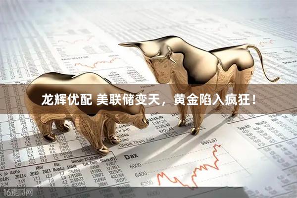 龙辉优配 美联储变天，黄金陷入疯狂！