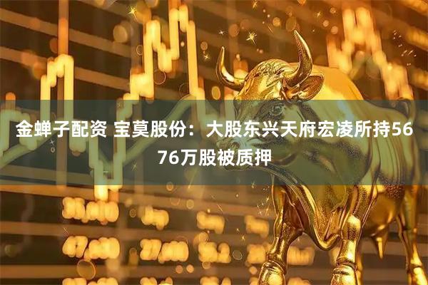 金蝉子配资 宝莫股份：大股东兴天府宏凌所持5676万股被质押