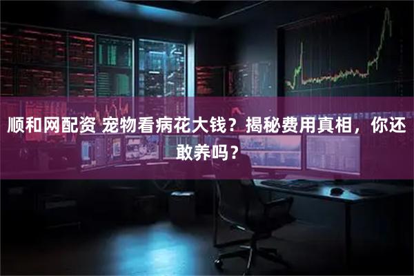 顺和网配资 宠物看病花大钱？揭秘费用真相，你还敢养吗？