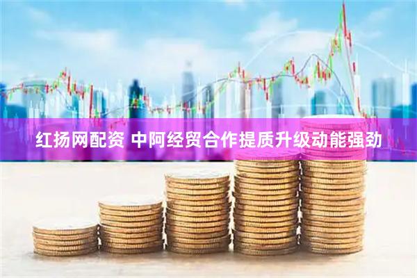 红扬网配资 中阿经贸合作提质升级动能强劲